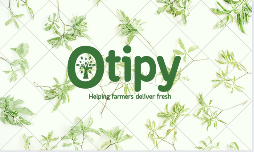 Otipy Raises Investment